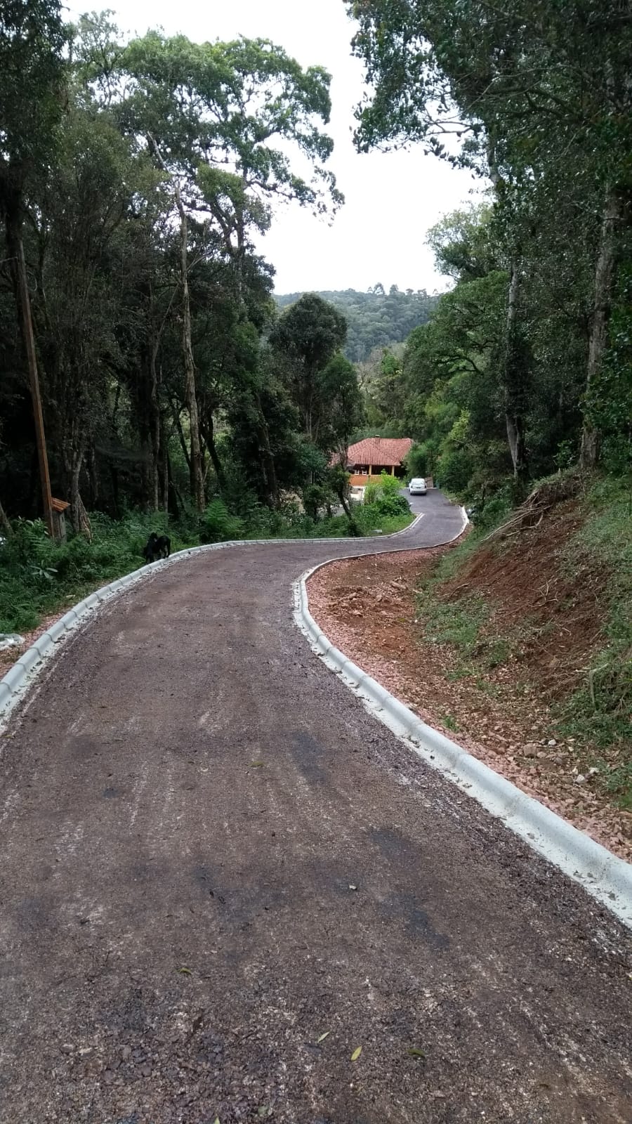 Estrada rural